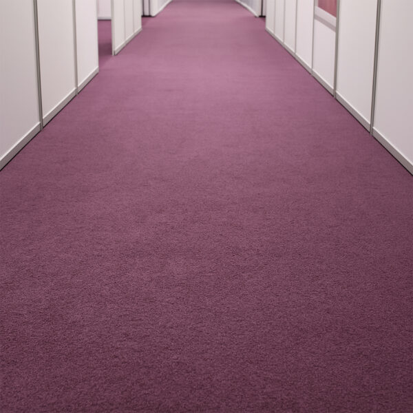 Alfombra En Rollo Colección Sprinter (rasurada) Modelo 15 Color Morado - Imagen 2