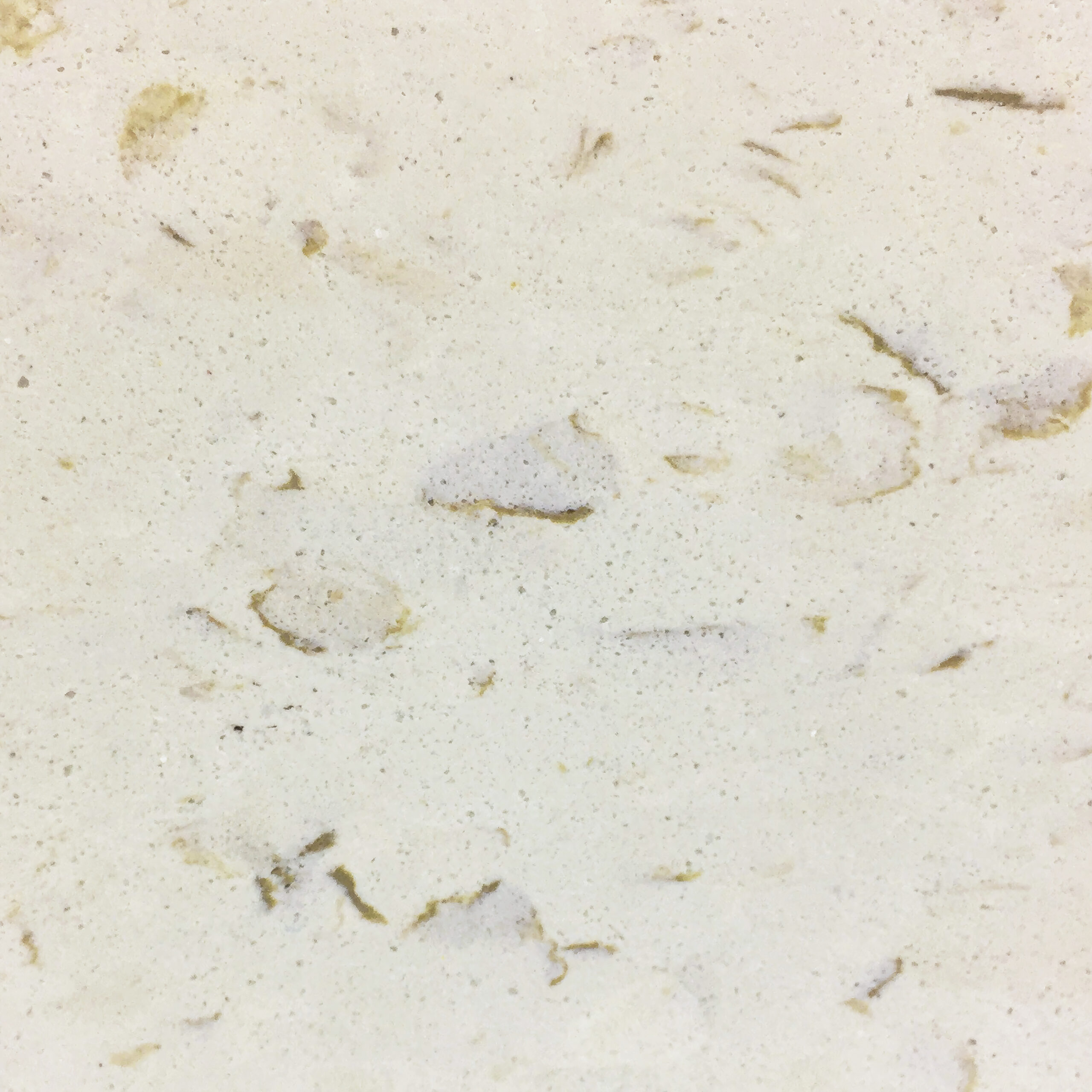 Trhuchip 3.1 mm 556 - Imagen 2