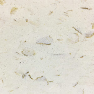 Trhuchip 3.1 mm 556