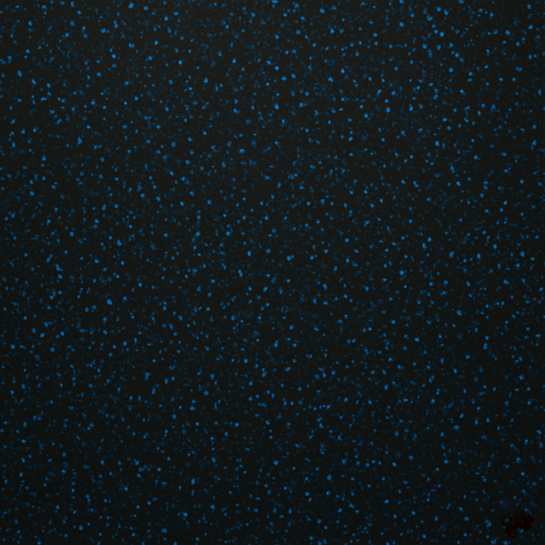 Piso para gimnasio Mod: Black/Blue 02 - Imagen 2