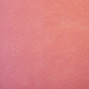 Alfombra En Rollo Colección Pazy (punzonada) Modelo 205 Feno Color Rosa