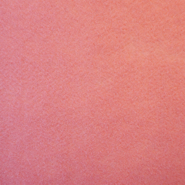 Alfombra En Rollo Colección Pazy (punzonada) Modelo 205 Feno Color Rosa