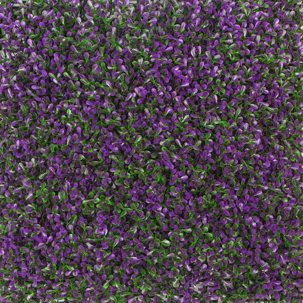 PURPUREA_upscayl_5x_remacri-4x